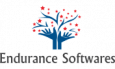 Endurance Softwares Logo
